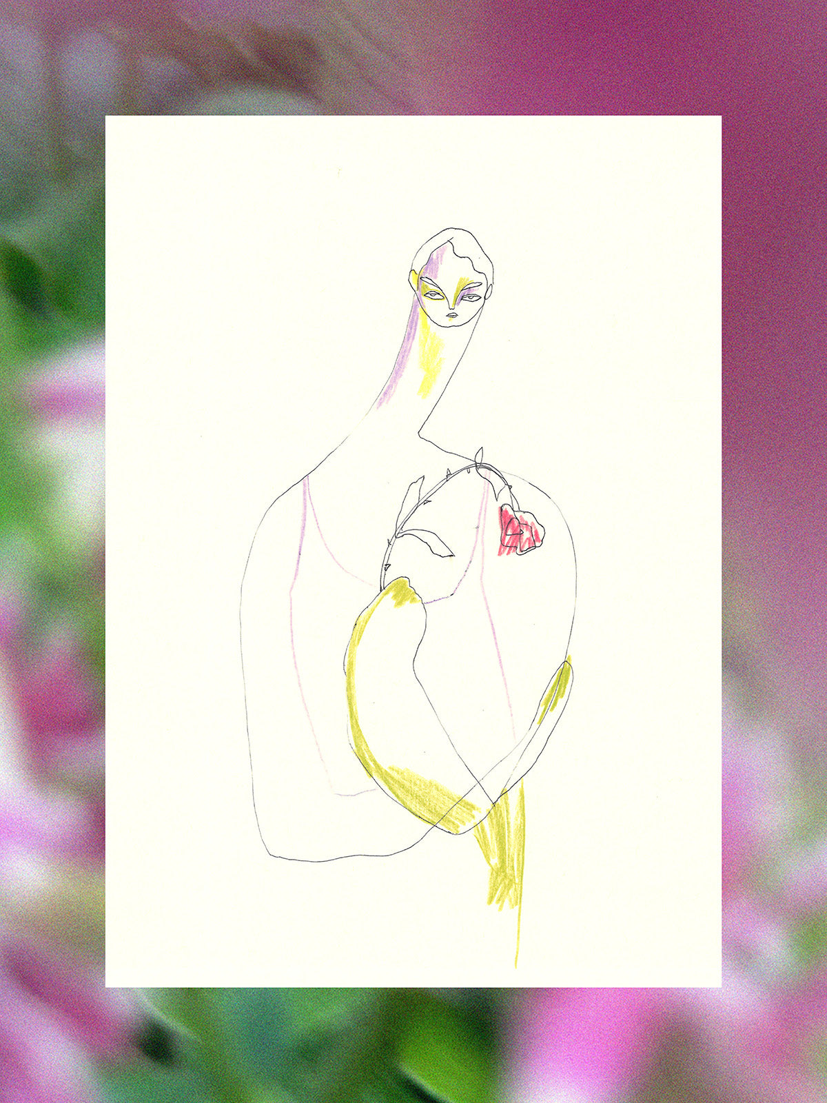 Illustration Boy with Rose II