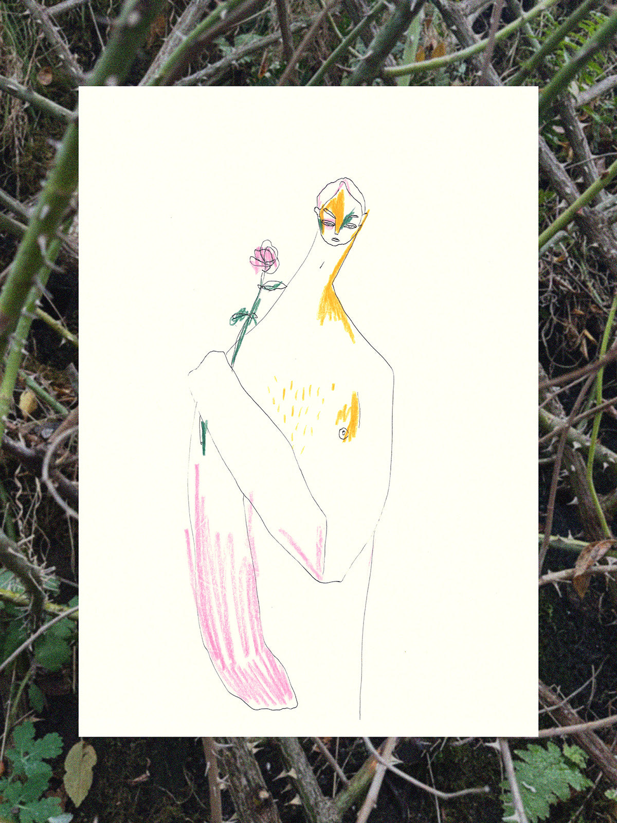 Illustration Boy with Rose I